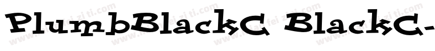 PlumbBlackC BlackC字体转换